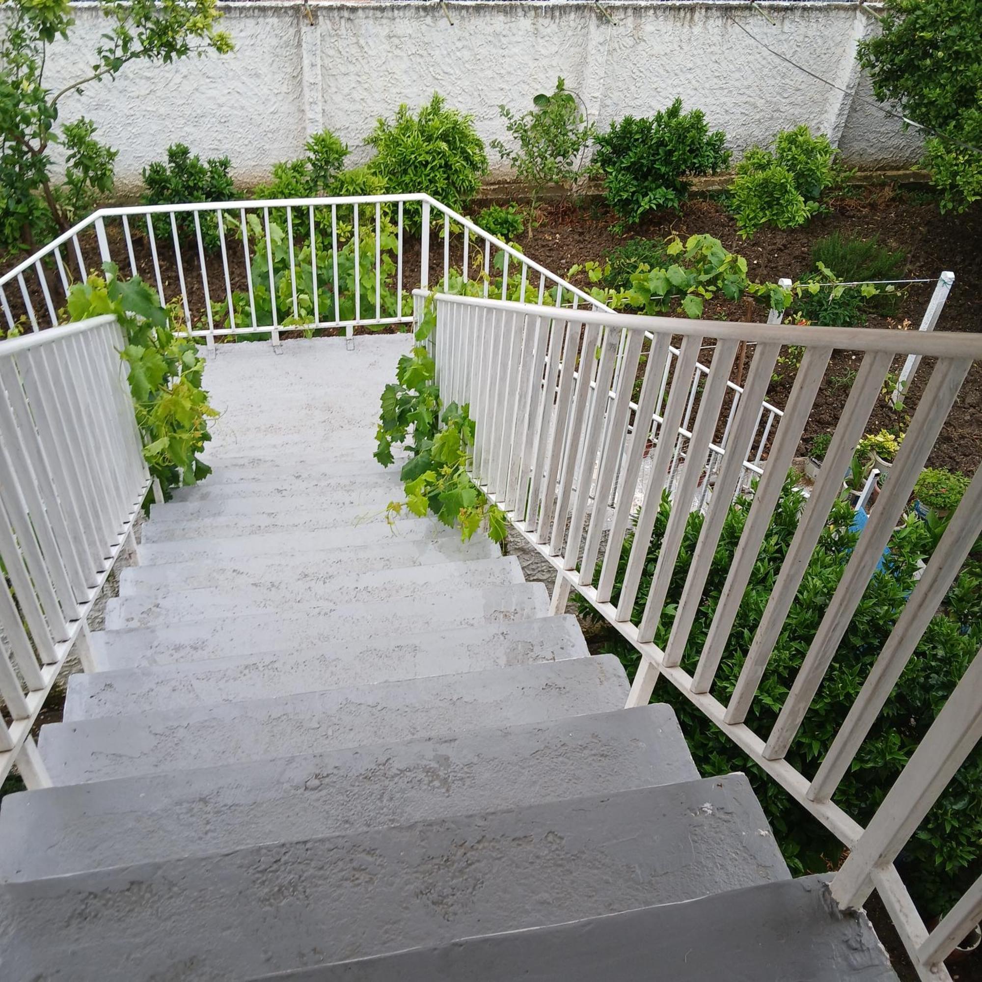 Villa Oasis Berat Zewnętrze zdjęcie